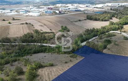 KAVAK ORGANİZE SANAYİ BÖLGESİ'NE KOMŞU CEPHEDE SATILIK ARSA 