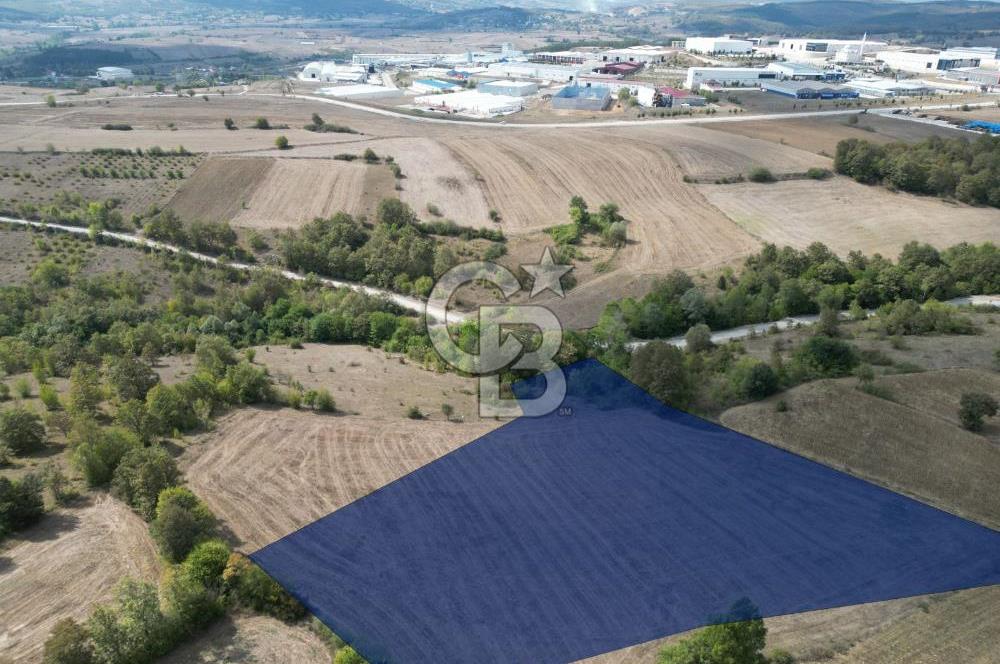 KAVAK ORGANİZE SANAYİ BÖLGESİ'NE KOMŞU CEPHEDE SATILIK ARSA 