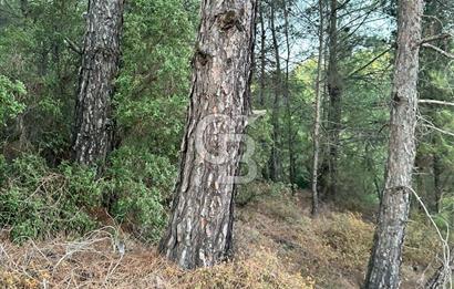 Muğla Yerkesik Satılık Tarla