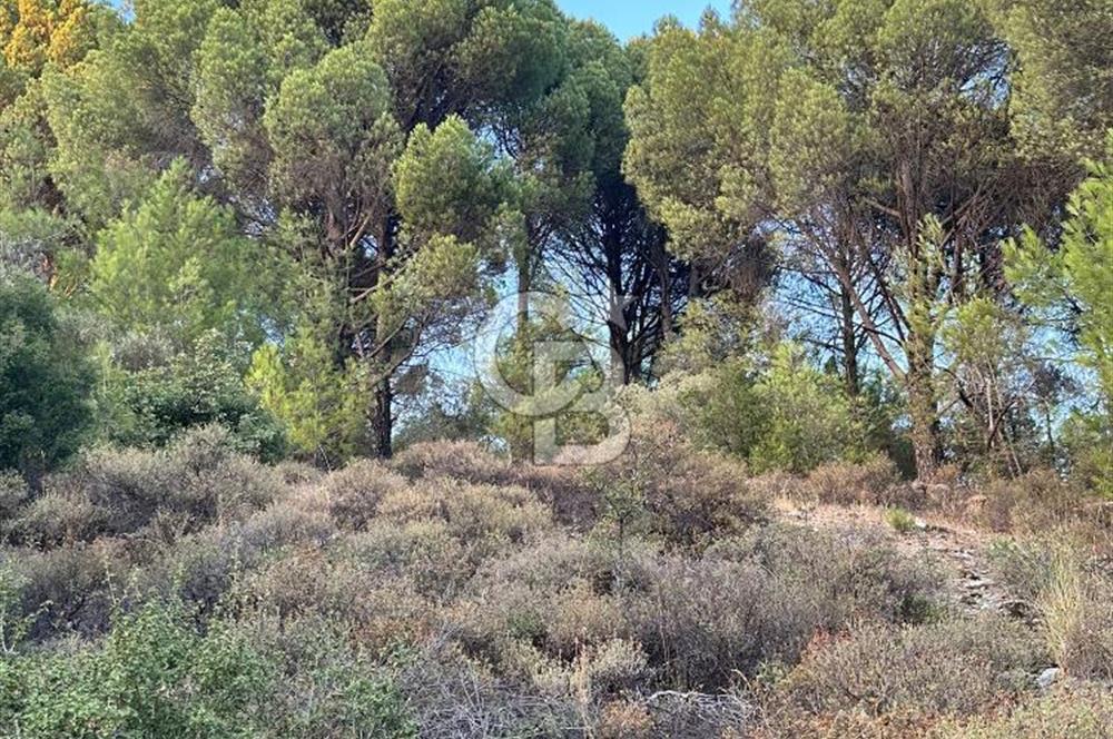 Muğla Menteşe Yerkesik