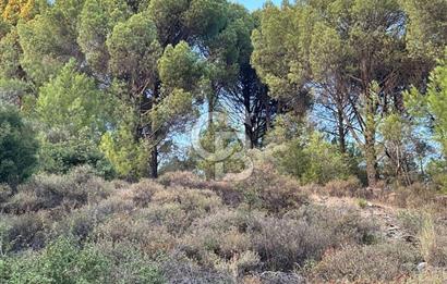 Muğla Menteşe Yerkesik