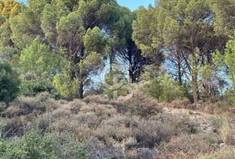 Muğla Yerkesik Satılık Tarla