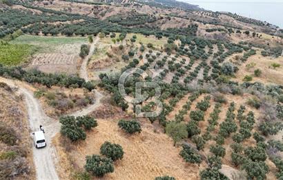 Şarköy Mürefte de 3.8 Dönüm Kupon Resmi Yola Cephe Arazi