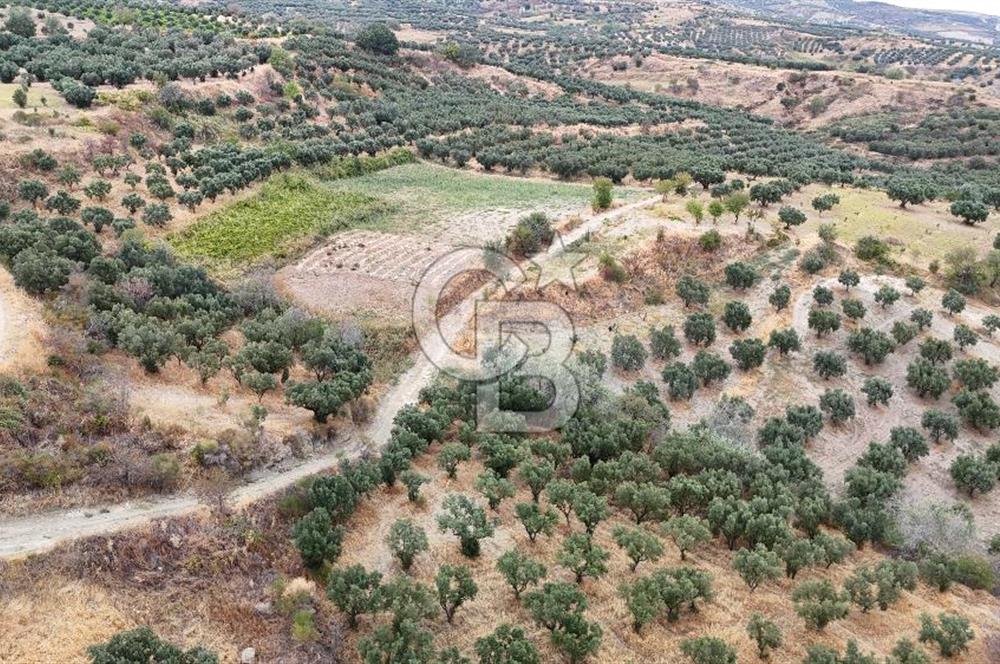 Şarköy Mürefte de 3.8 Dönüm Kupon Resmi Yola Cephe Arazi