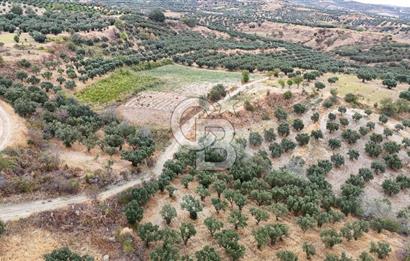 Şarköy Mürefte de 3.8 Dönüm Kupon Resmi Yola Cephe Arazi