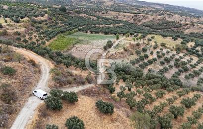 Şarköy Mürefte de 3.8 Dönüm Kupon Resmi Yola Cephe Arazi