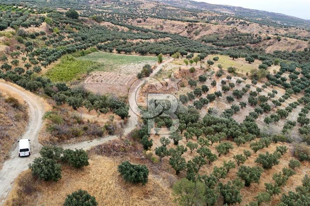 Şarköy Mürefte de 3.8 Dönüm Kupon Resmi Yola Cephe Arazi