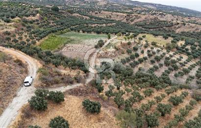 Şarköy Mürefte de 3.8 Dönüm Kupon Resmi Yola Cephe Arazi