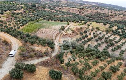 Şarköy Mürefte de 3.8 Dönüm Kupon Resmi Yola Cephe Arazi