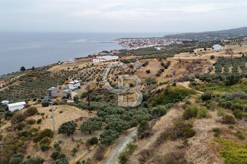 Şarköy Mürefte de 3.8 Dönüm Kupon Resmi Yola Cephe Arazi