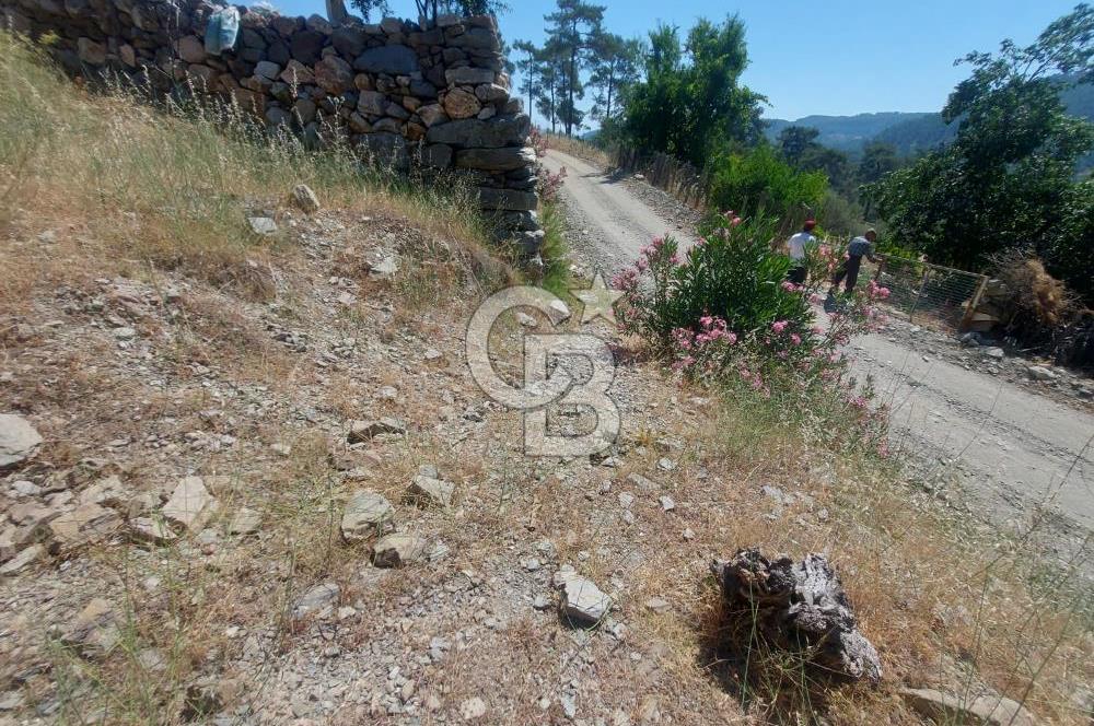 Muğla Menteşe Çatakbağyaka Satılık Tarla