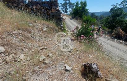 Muğla Menteşe Çatakbağyaka Satılık Tarla