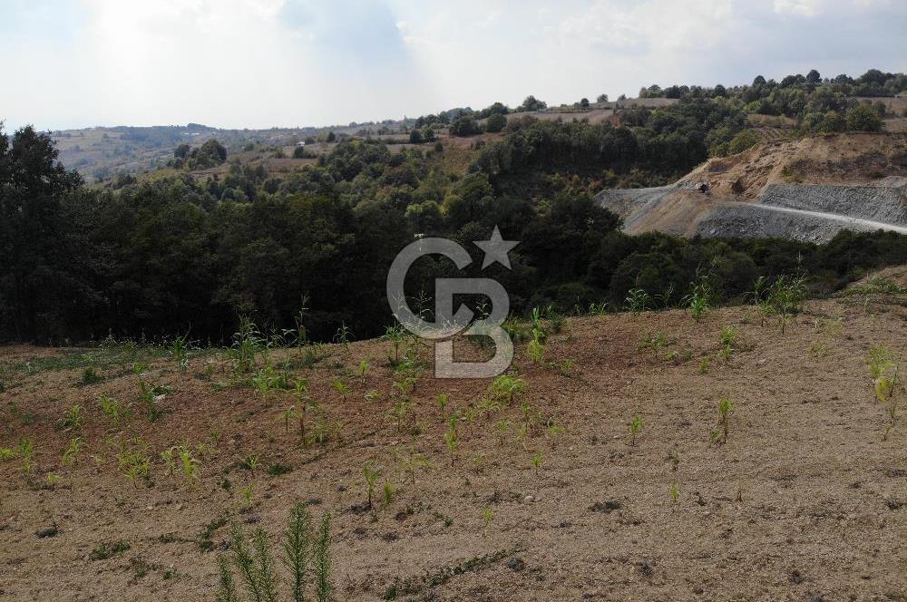 KOCELİ İZMİT ZEYTİNBURNUNDA 4680 M2 SATILIK TARLA