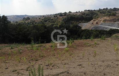 KOCELİ İZMİT ZEYTİNBURNUNDA 4680 M2 SATILIK TARLA