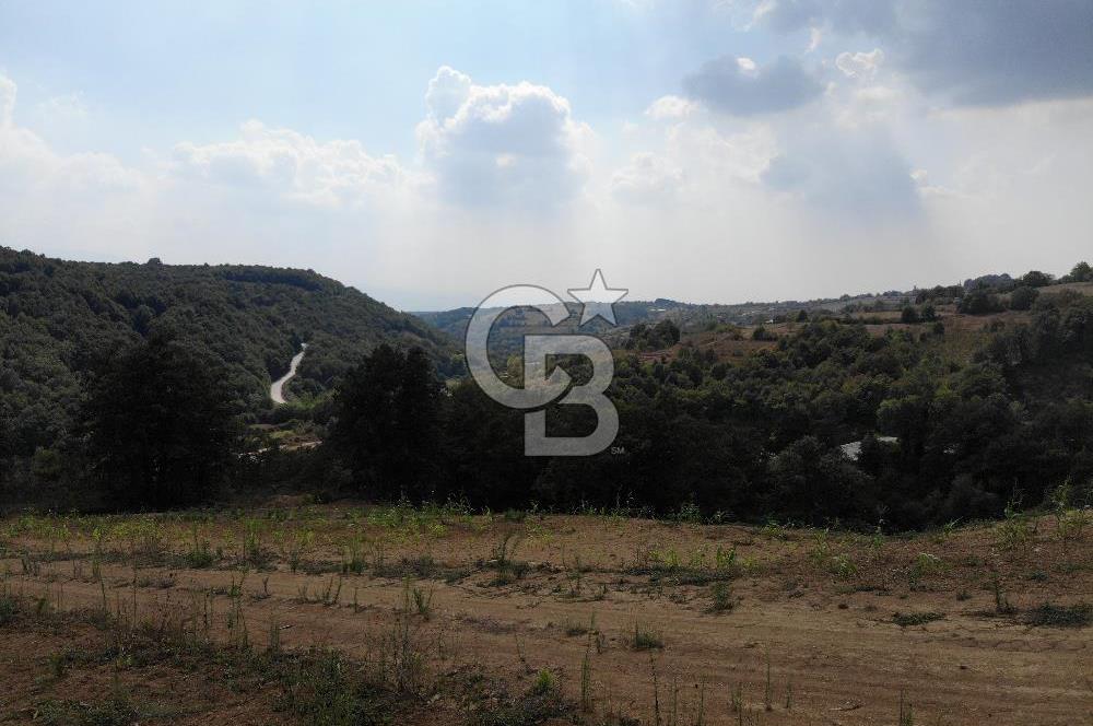 KOCELİ İZMİT ZEYTİNBURNUNDA 4680 M2 SATILIK TARLA