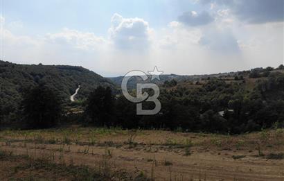 KOCELİ İZMİT ZEYTİNBURNUNDA 4680 M2 SATILIK TARLA