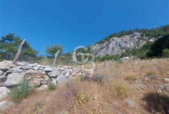 Muğla Menteşe çatakbağyaka Mah Satılık Tarla