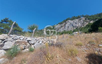 Muğla Menteşe çatakbağyaka Mah Satılık Tarla