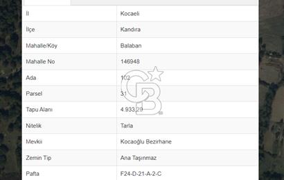 KANDIRA BALABAN'DA 4933 M2 SATILIK TARLA