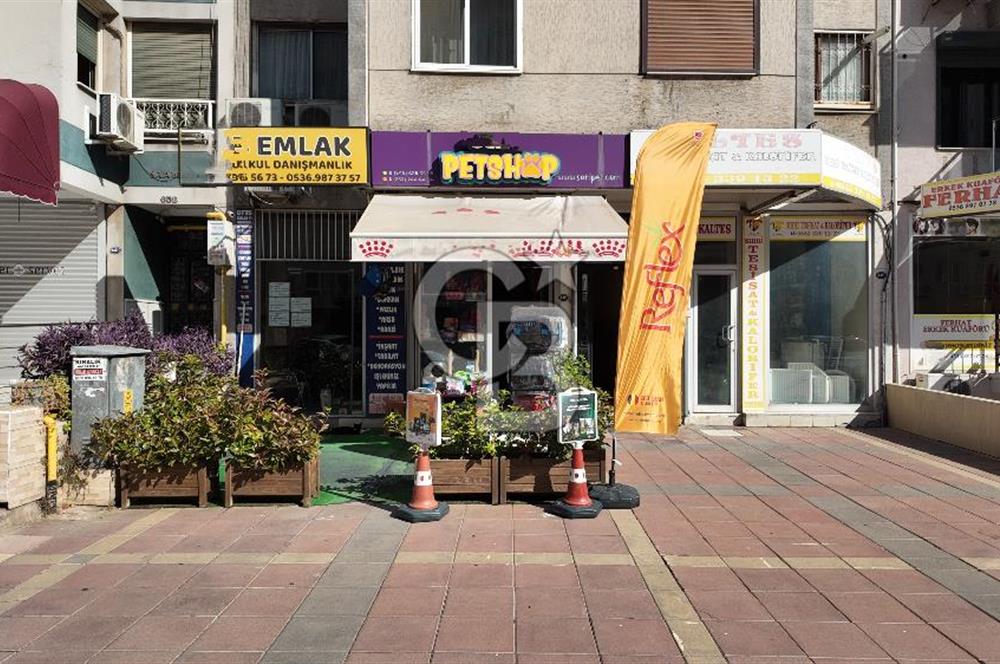 MİTHATPAŞA / KÜÇÜKYALI' DA DEVREN KİRALIK PETSHOP