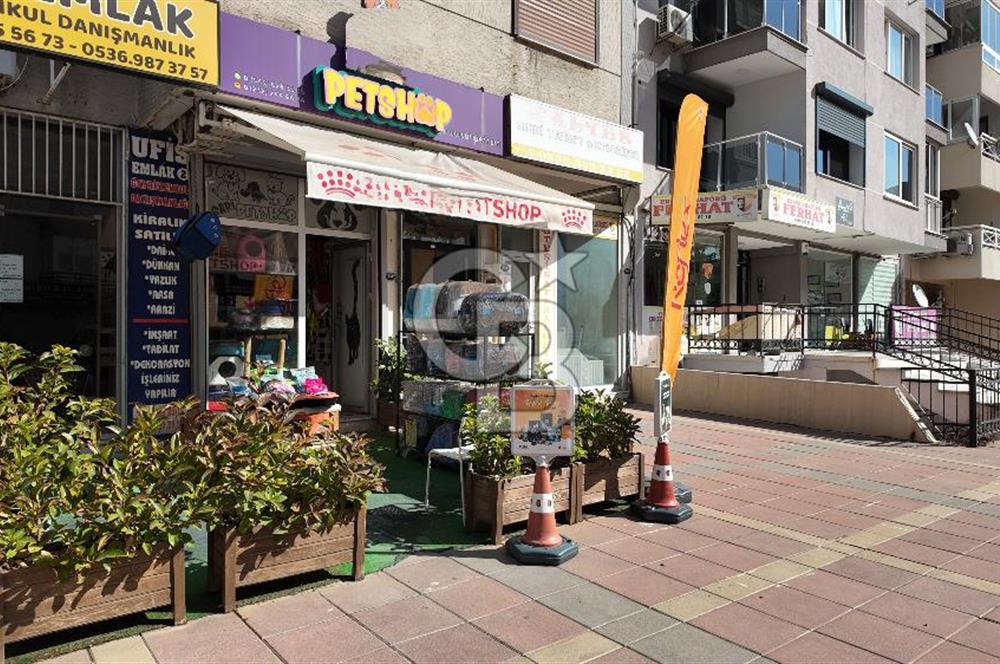 MİTHATPAŞA / KÜÇÜKYALI' DA DEVREN KİRALIK PETSHOP