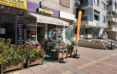 MİTHATPAŞA / KÜÇÜKYALI' DA DEVREN KİRALIK PETSHOP