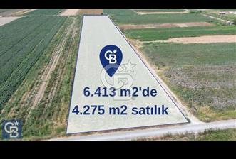 Türkelli'de Acil Satılık 4275 m2 Çift Cephesi Yol Tarla