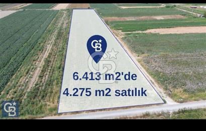 Türkelli'de Acil Satılık 4275 m2 Çift Cephesi Yol Tarla