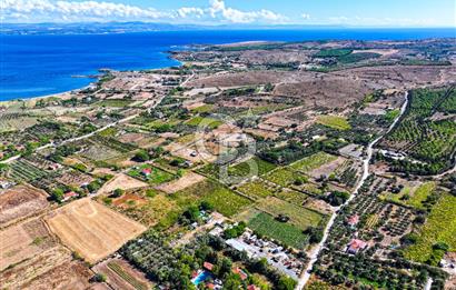 ÇANAKKALE BOZCAADA MERKEZE YAKIN SATILIK TARLA