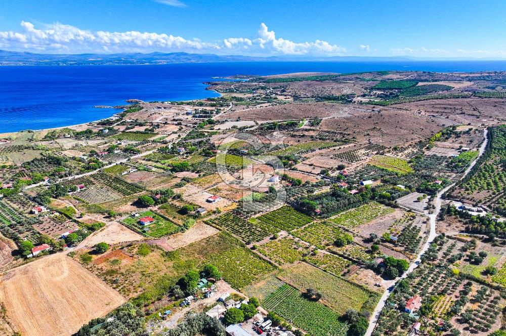 ÇANAKKALE BOZCAADA MERKEZE YAKIN SATILIK TARLA