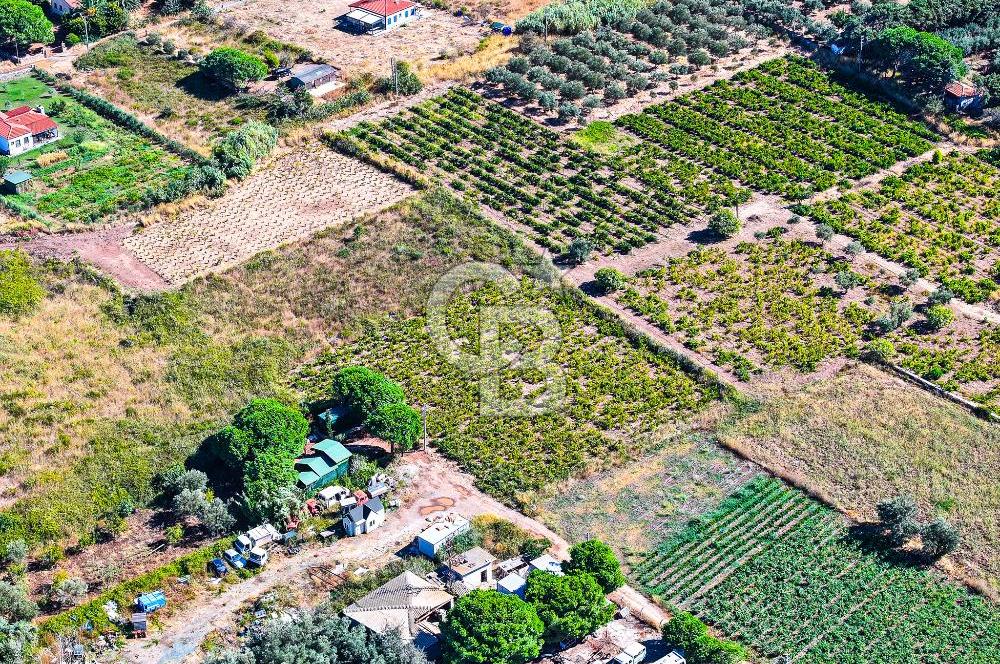 ÇANAKKALE BOZCAADA MERKEZE YAKIN SATILIK TARLA