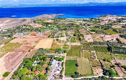 ÇANAKKALE BOZCAADA MERKEZE YAKIN SATILIK TARLA