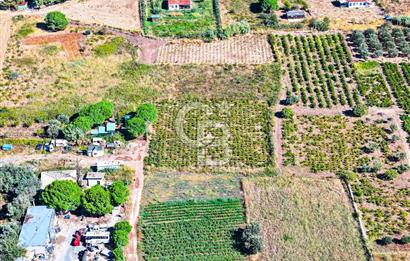 ÇANAKKALE BOZCAADA MERKEZE YAKIN SATILIK TARLA