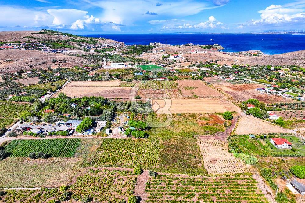 ÇANAKKALE BOZCAADA MERKEZE YAKIN SATILIK TARLA