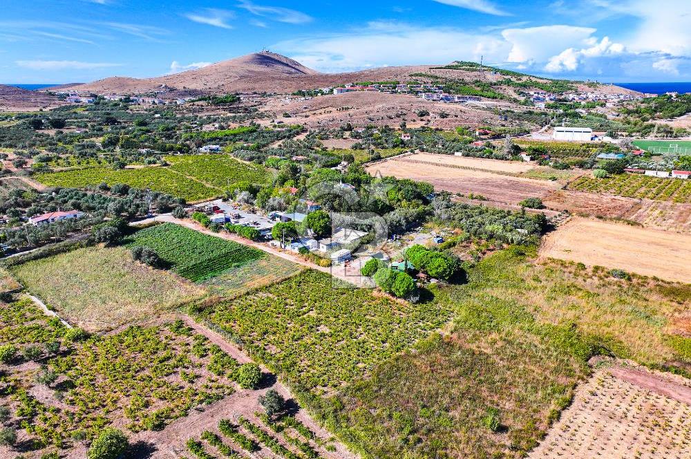 ÇANAKKALE BOZCAADA MERKEZE YAKIN SATILIK TARLA