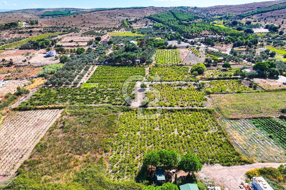 ÇANAKKALE BOZCAADA MERKEZE YAKIN SATILIK TARLA