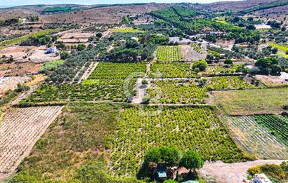 ÇANAKKALE BOZCAADA MERKEZE YAKIN SATILIK TARLA