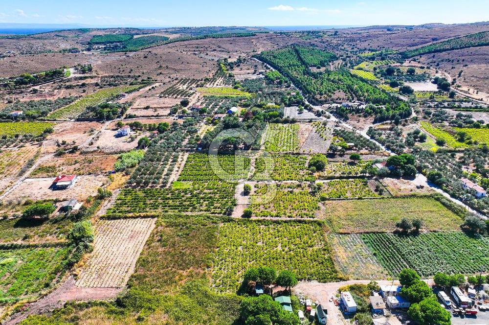 ÇANAKKALE BOZCAADA MERKEZE YAKIN SATILIK TARLA