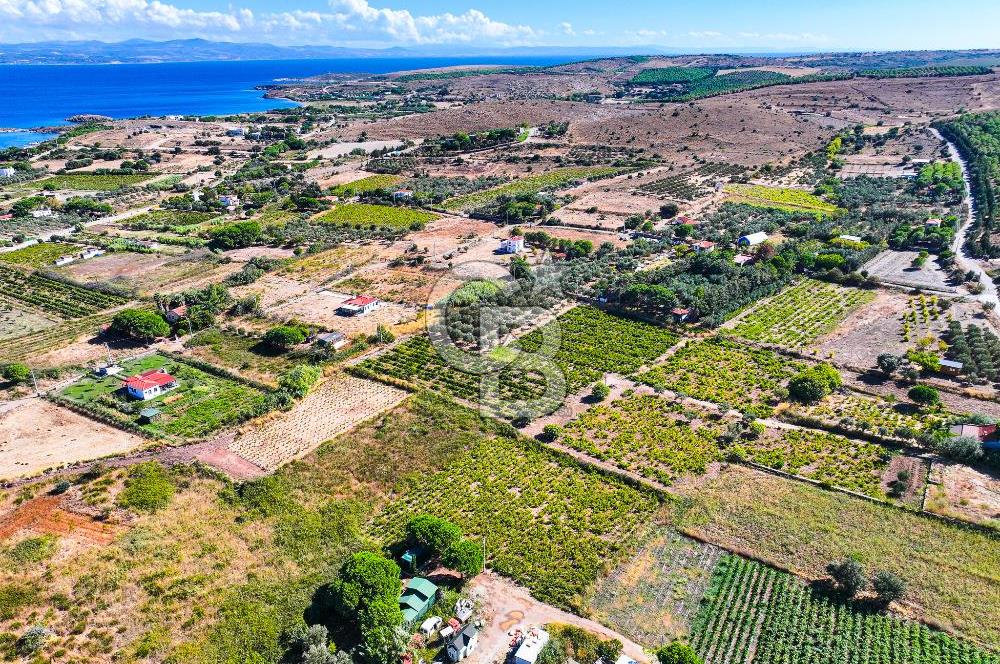 ÇANAKKALE BOZCAADA MERKEZE YAKIN SATILIK TARLA