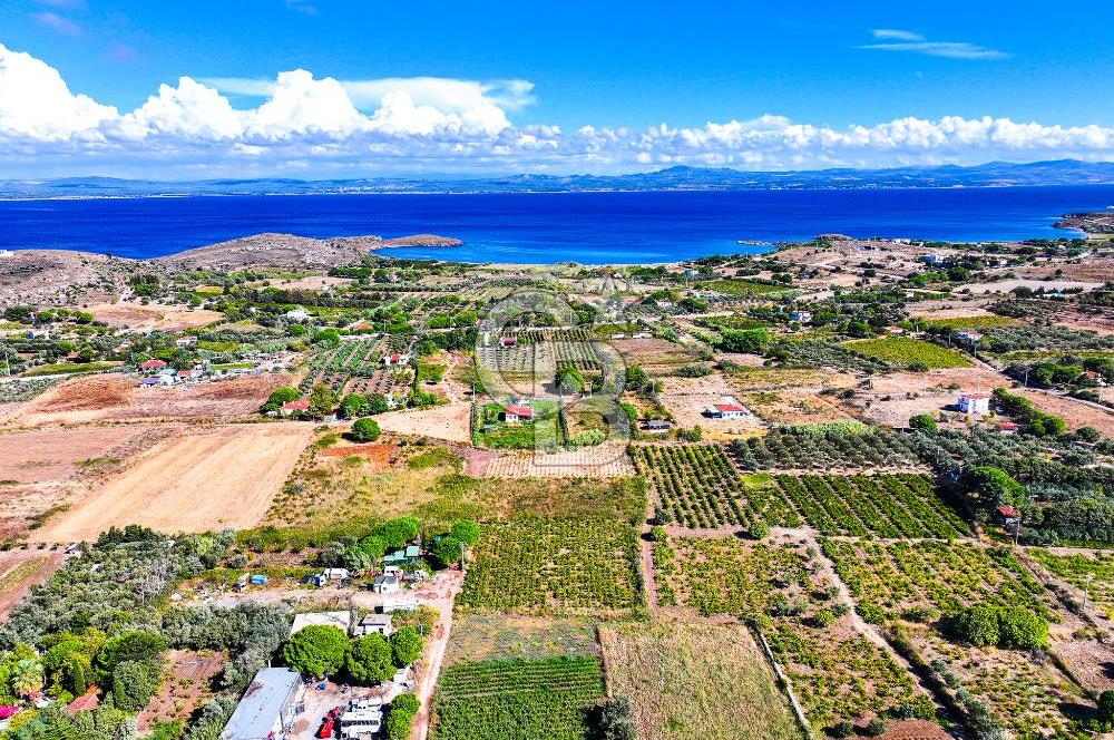 ÇANAKKALE BOZCAADA MERKEZE YAKIN SATILIK TARLA