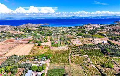 ÇANAKKALE BOZCAADA MERKEZE YAKIN SATILIK TARLA