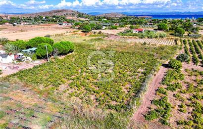 ÇANAKKALE BOZCAADA MERKEZE YAKIN SATILIK TARLA