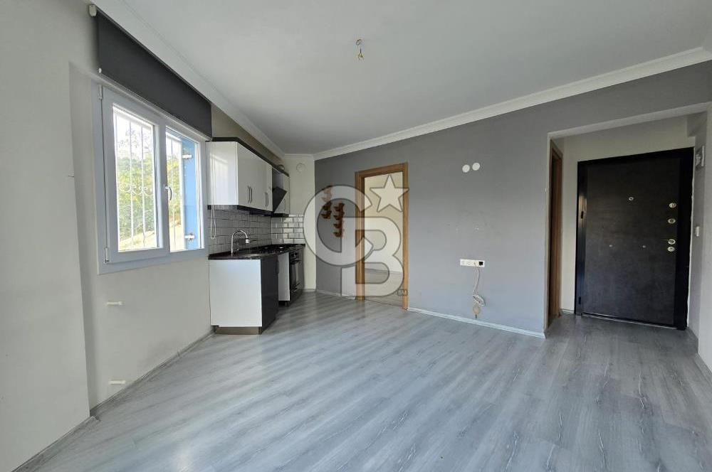 1+1 Harmandalı, Kiralık 