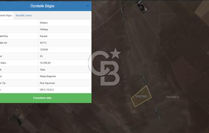 ANKARA GÖLBAŞI KARAALİ SATILIK TARLA