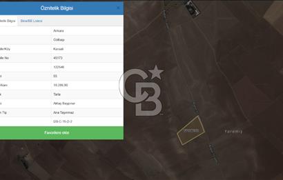 ANKARA GÖLBAŞI KARAALİ SATILIK TARLA
