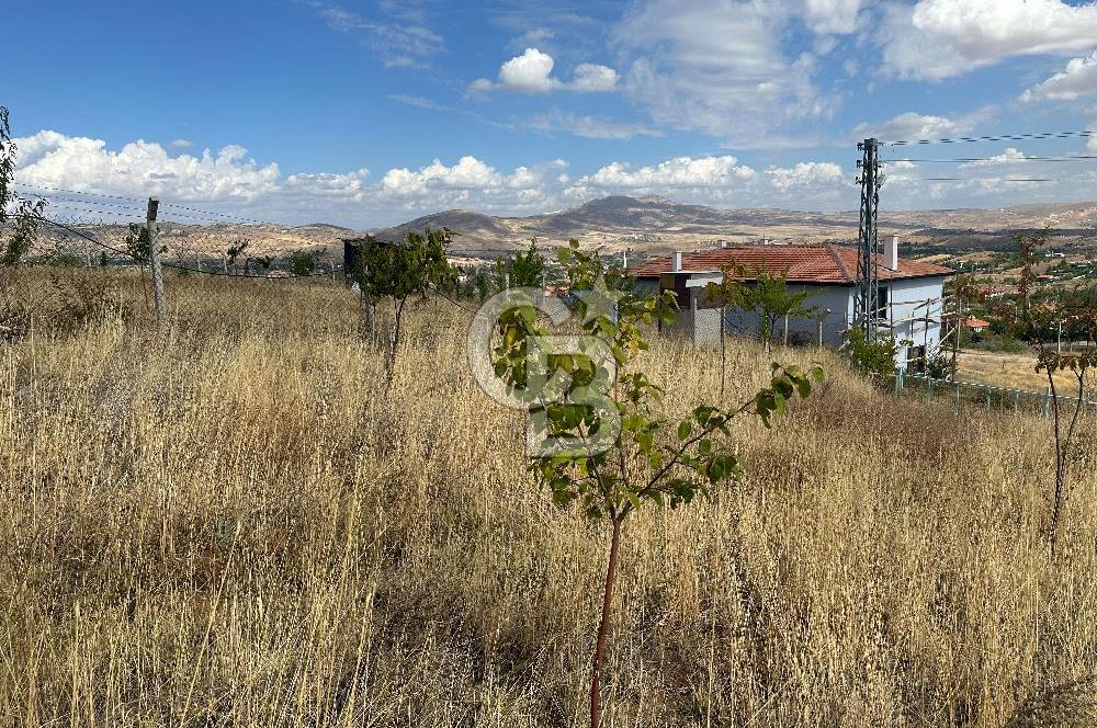 ÇEVRİLİ SULAMA HAVUZLU MÜSTAKİL TAPULU YOLA CEPHELİARSA 