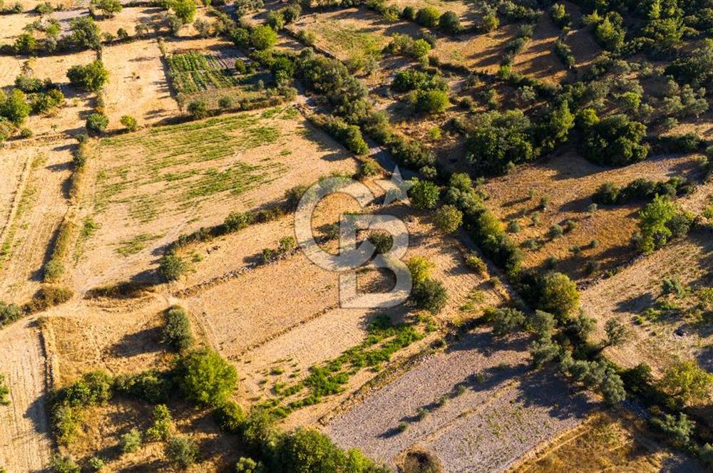 MİLAS HASANLAR KÖYCİVARI SU KUYUSU VE KADASTRAL YOL CEPHELİ