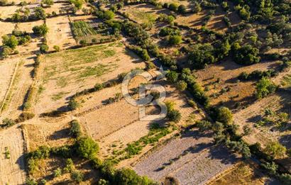 MİLAS HASANLAR KÖYCİVARI SU KUYUSU VE KADASTRAL YOL CEPHELİ