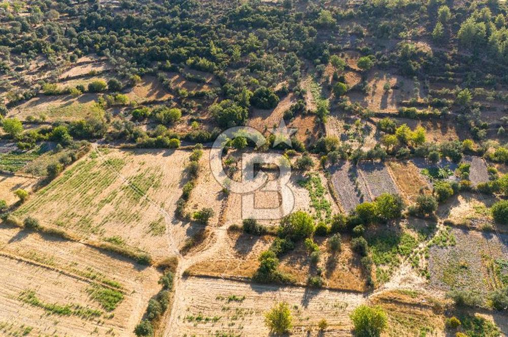 MİLAS HASANLAR KÖYCİVARI SU KUYUSU VE KADASTRAL YOL CEPHELİ