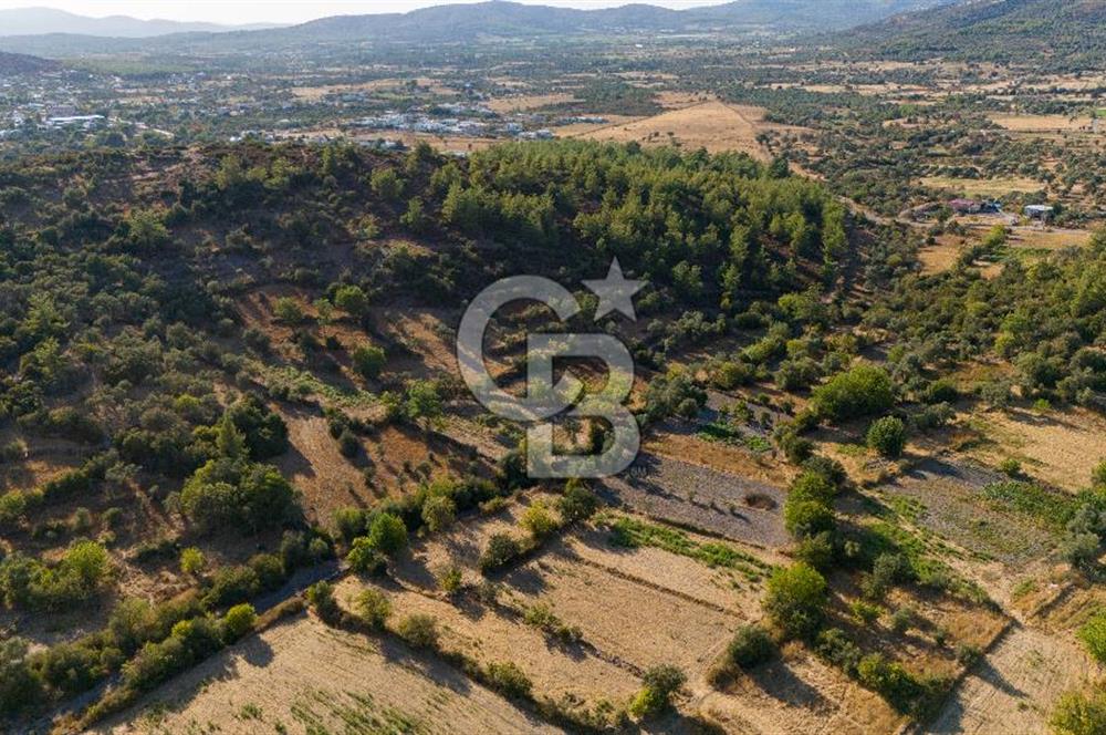 MİLAS HASANLAR KÖYCİVARI SU KUYUSU VE KADASTRAL YOL CEPHELİ